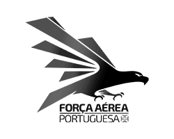 força aerea portuguesa